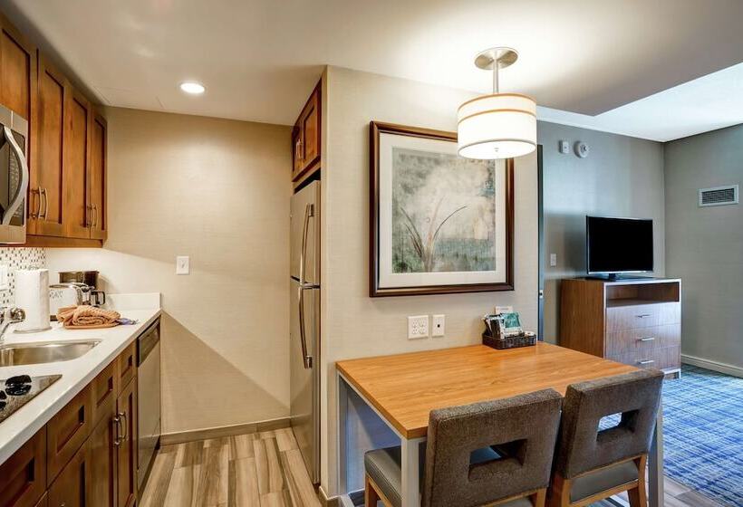 Suite, Homewood Suites By Hilton Boston Brooklinelongwood Medical