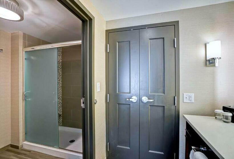 Suite Deluxe Pat King, Homewood Suites By Hilton Boston Brooklinelongwood Medical