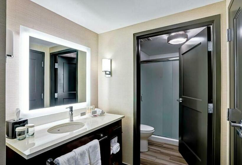 Suite Deluxe Pat King, Homewood Suites By Hilton Boston Brooklinelongwood Medical