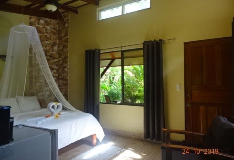 اتاق استاندارد, Casa Caribbean Coconut