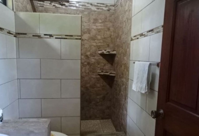 اتاق استاندارد, Casa Caribbean Coconut