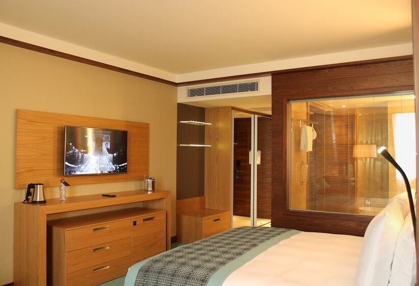 اتاق اجرایی, Radisson Blu M Bamou Palace Hotel, Brazzaville