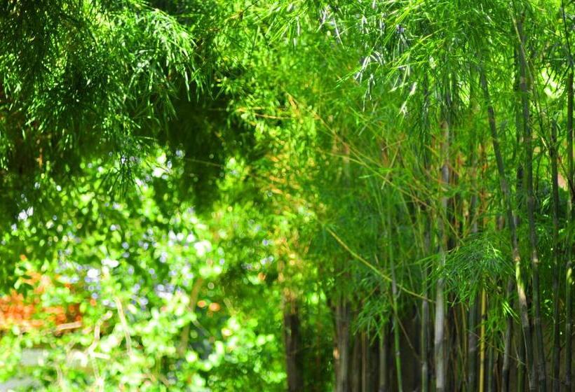 سوئیت کلاسیک, Sari Villa Sanur Beach