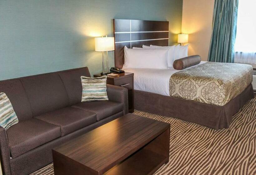اتاق استاندارد با تخت بزرگ, Best Western Plus Moosomin