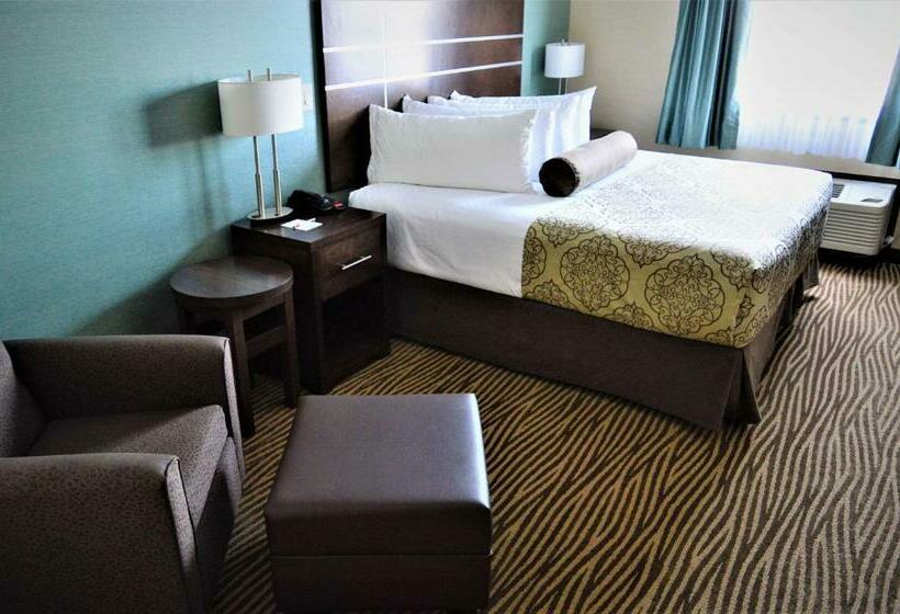 اتاق استاندارد با تخت بزرگ, Best Western Plus Moosomin