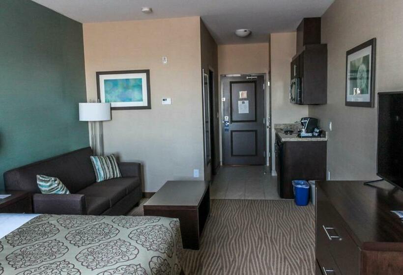 اتاق استاندارد با تخت بزرگ, Best Western Plus Moosomin