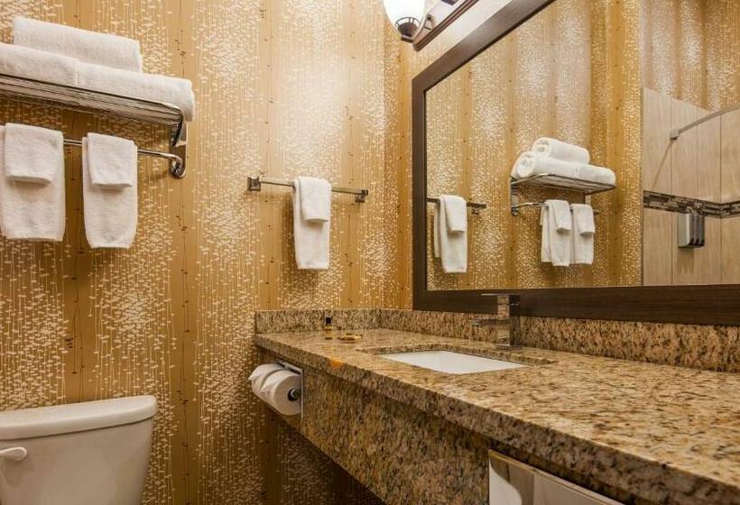 اتاق استاندارد, Best Western Plus Moosomin
