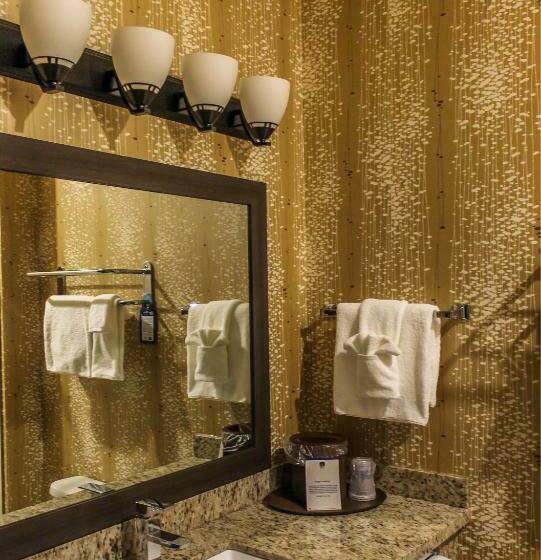 اتاق استاندارد با تخت بزرگ, Best Western Plus Moosomin