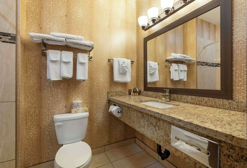 اتاق استاندارد با 2 تخت دوبل, Best Western Plus Moosomin