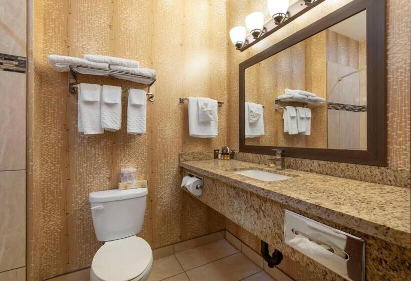 اتاق استاندارد با تخت بزرگ, Best Western Plus Moosomin