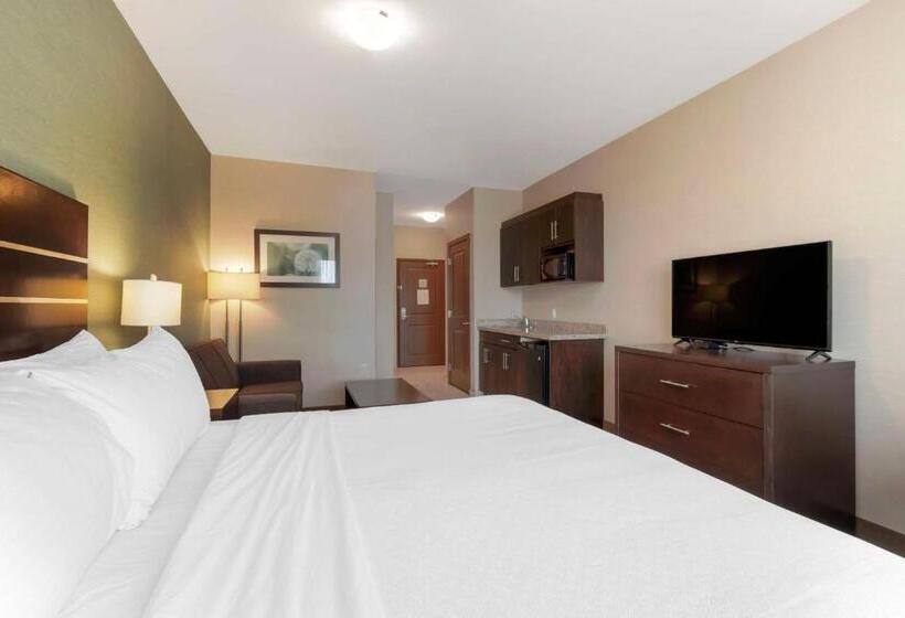 اتاق استاندارد با تخت بزرگ, Best Western Plus Moosomin