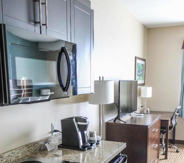 اتاق استاندارد با آشپزخانه, Best Western Plus Moosomin