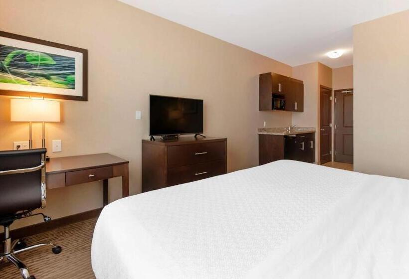 اتاق استاندارد با آشپزخانه, Best Western Plus Moosomin