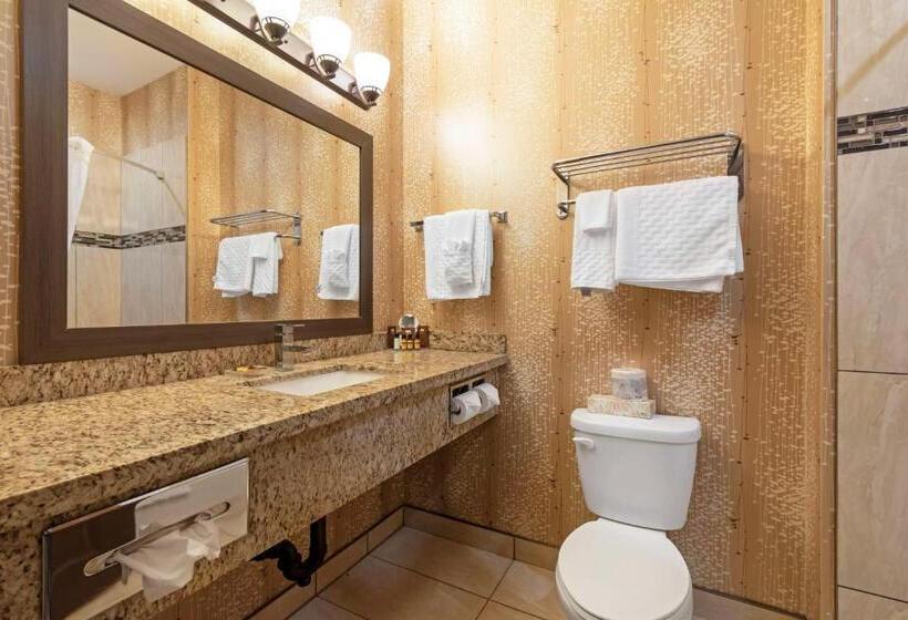 اتاق استاندارد با تخت بزرگ, Best Western Plus Moosomin