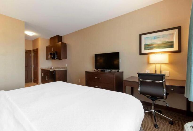 اتاق استاندارد با تخت بزرگ, Best Western Plus Moosomin