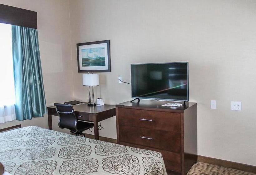 اتاق استاندارد با تخت بزرگ, Best Western Plus Moosomin