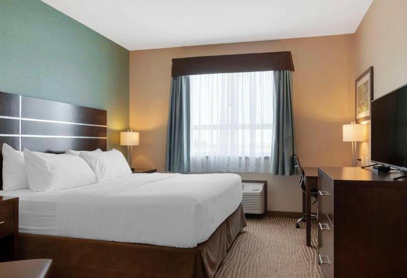 اتاق استاندارد با تخت بزرگ برای معلولان, Best Western Plus Moosomin