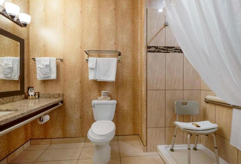 اتاق استاندارد برای معلولان, Best Western Plus Moosomin