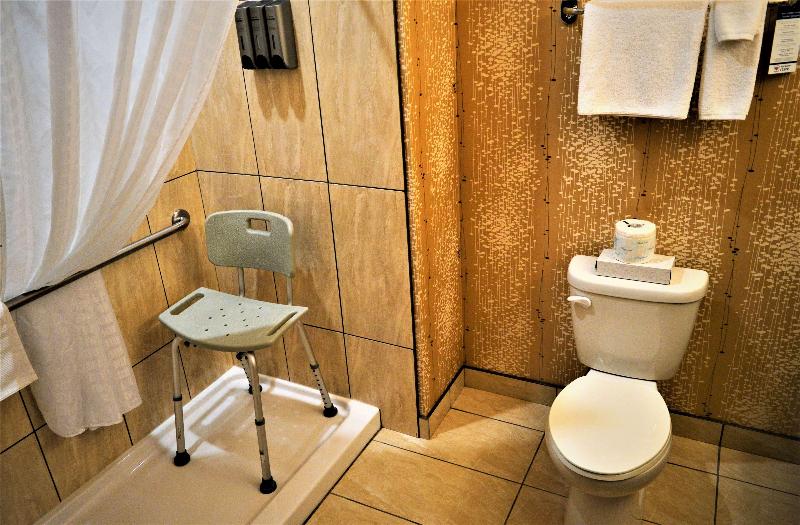 اتاق استاندارد با تخت بزرگ, Best Western Plus Moosomin