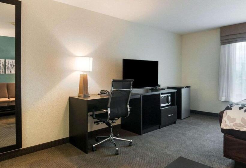 سوئیت با تخت بزرگ, Sleep Inn & Suites Fort Dodge