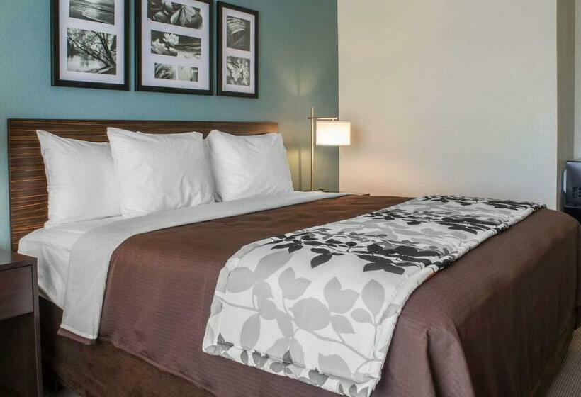 اتاق استاندارد با تخت بزرگ, Sleep Inn & Suites Fort Dodge