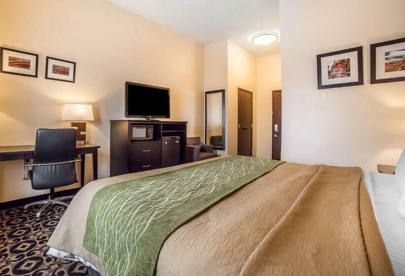 اتاق استاندارد با تخت بزرگ, Comfort Inn Ballardroosevelt