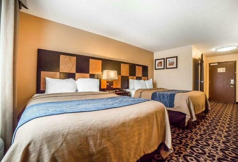 اتاق استاندارد, Comfort Inn Ballardroosevelt