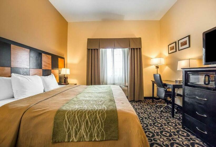 اتاق استاندارد با تخت بزرگ, Comfort Inn Ballardroosevelt