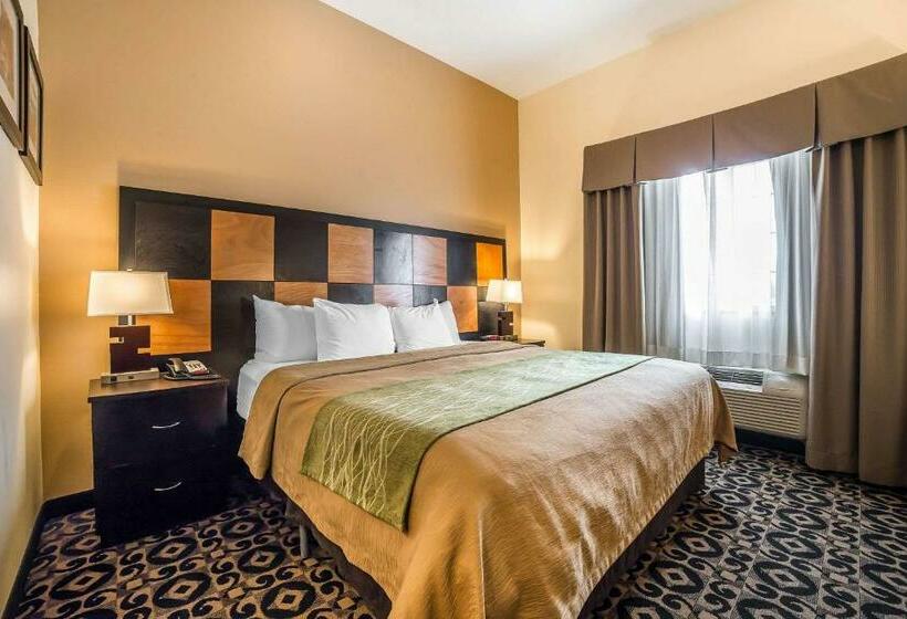 اتاق استاندارد با تخت بزرگ, Comfort Inn Ballardroosevelt