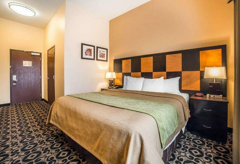 اتاق استاندارد با تخت بزرگ, Comfort Inn Ballardroosevelt