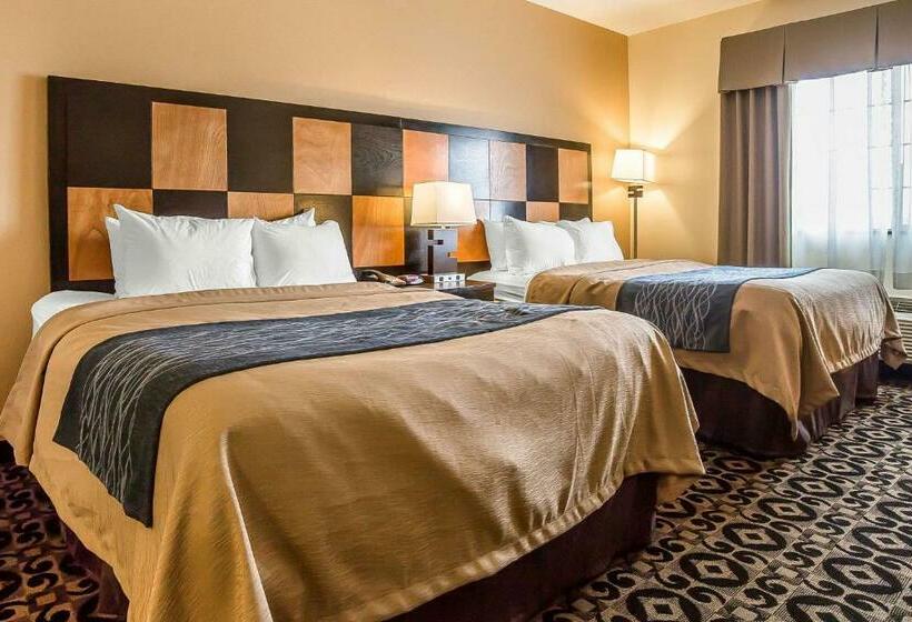 اتاق استاندارد, Comfort Inn Ballardroosevelt