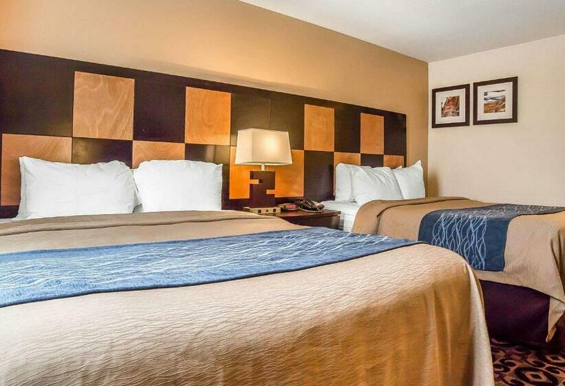 اتاق استاندارد, Comfort Inn Ballardroosevelt