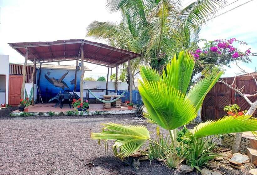 اتاق استاندارد, Hospedaje Delfin Azul