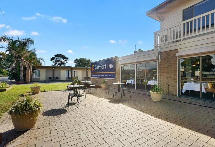 اتاق استاندارد, Comfort Inn Flinders On Main