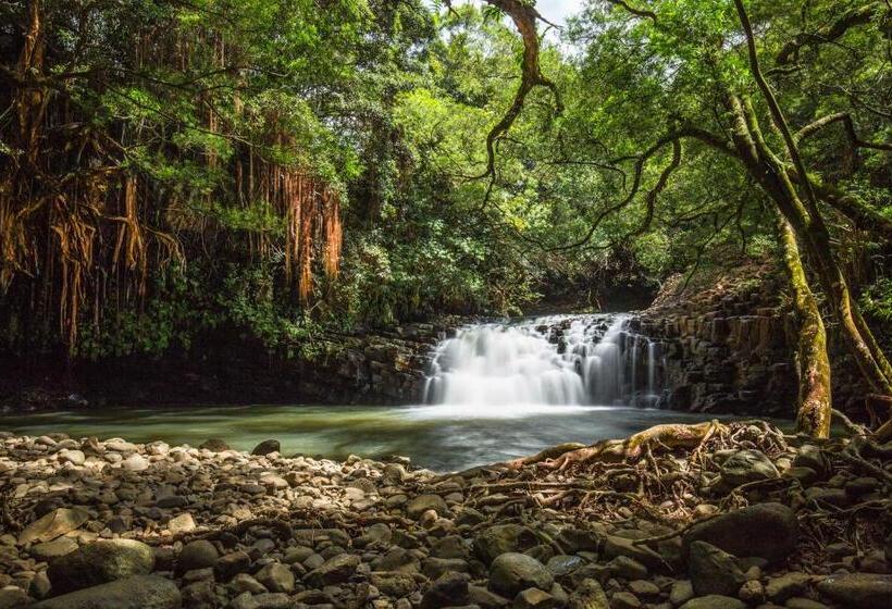 خانه 2 خوابه, Maui Vista Condo 2410