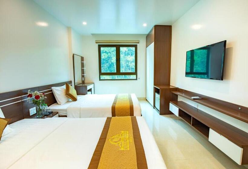 اتاق استاندارد چهار تخته, Tung Quang