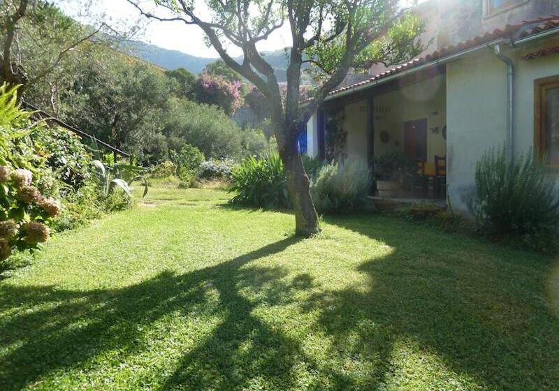 اتاق استاندارد با چشم‌انداز باغ, Casa Puccini B&b Maratea