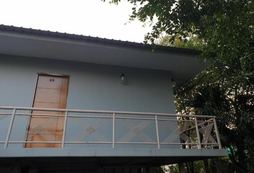 اتاق اکونومی, Nature Home