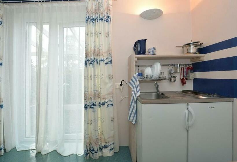 استودیوی استاندارد, Palanga Pas Vidute