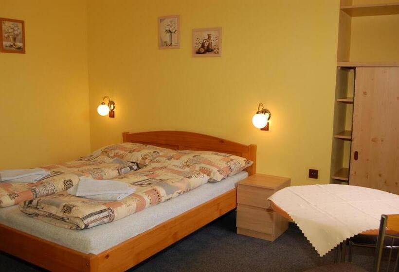 اتاق استاندارد با تخت بزرگ برای معلولان, Penzion Florian