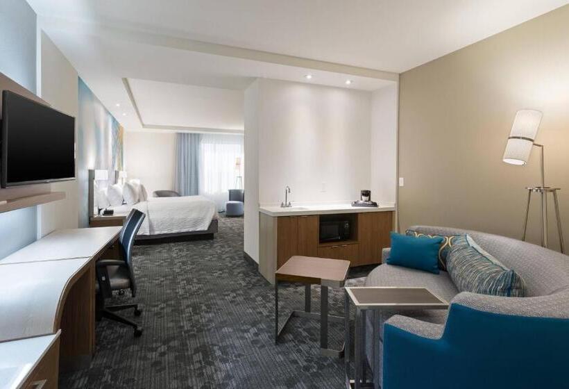 سوئیت با تخت بزرگ, Courtyard By Marriott Houston Katy Mills