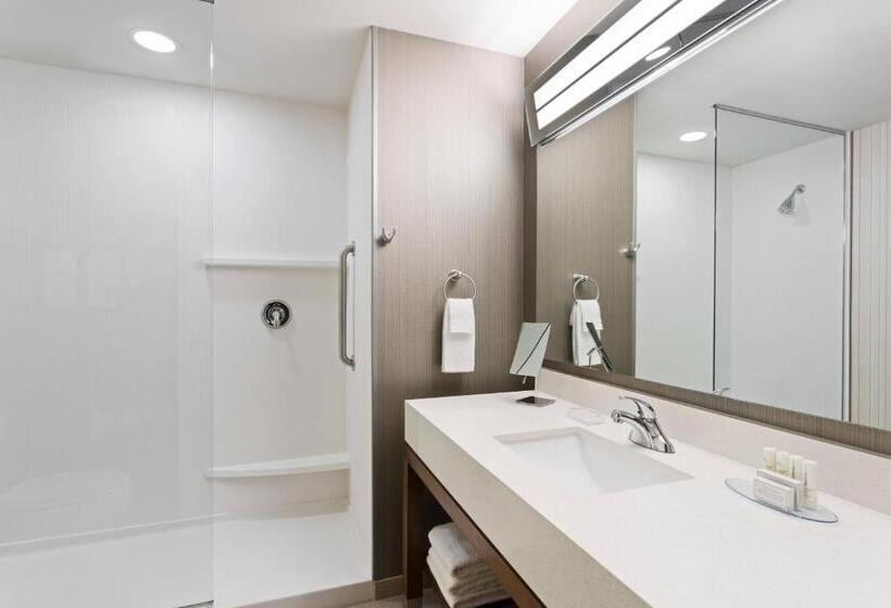 اتاق استاندارد با تخت بزرگ, Courtyard By Marriott Houston Katy Mills