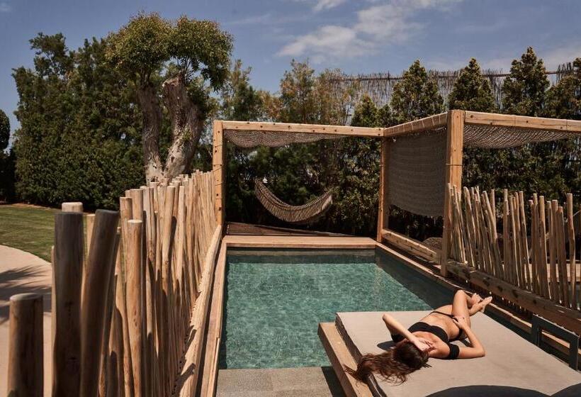اتاق استاندارد, Nema Design Hotel & Spa   Adults Only
