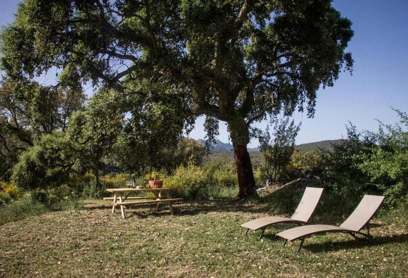 اتاق سوپریور, Tambor Del Llano