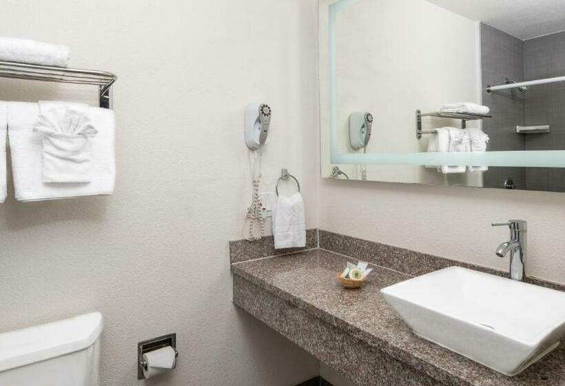 اتاق استاندارد, Scandia Motel