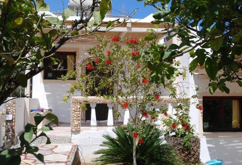 استودیوی استاندارد, Villa Italiana
