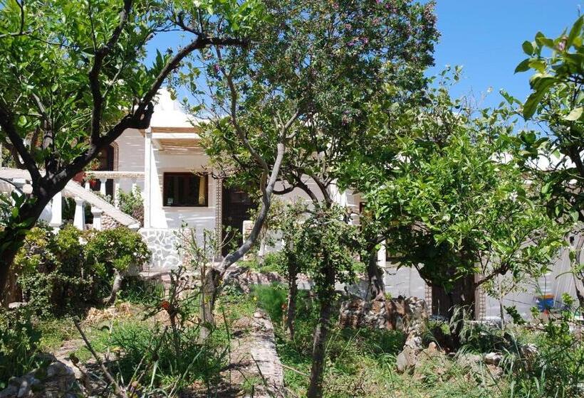 استودیوی استاندارد, Villa Italiana