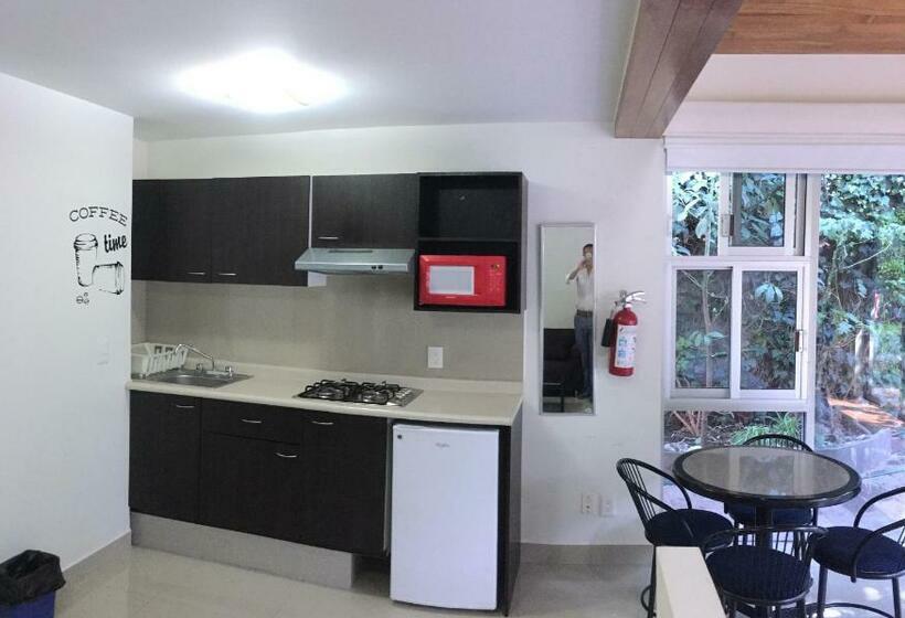 آپارتمان 1 خوابه, Grupo Kings Suites Duraznos