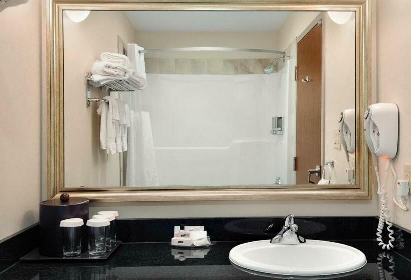 اتاق استاندارد با تخت بزرگ برای معلولان, Canalta Hotel Melfort