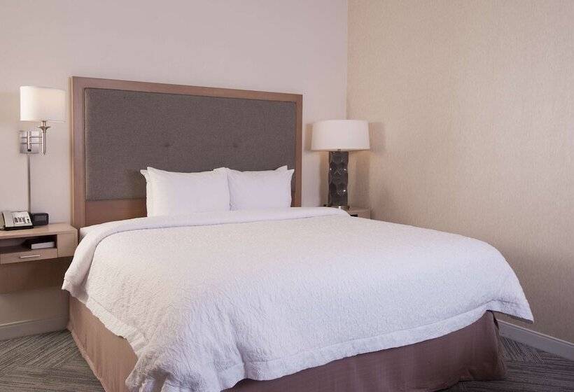اتاق استاندارد با تخت دوبل, Hampton Inn & Suites By Hilton Augustawashington Rd